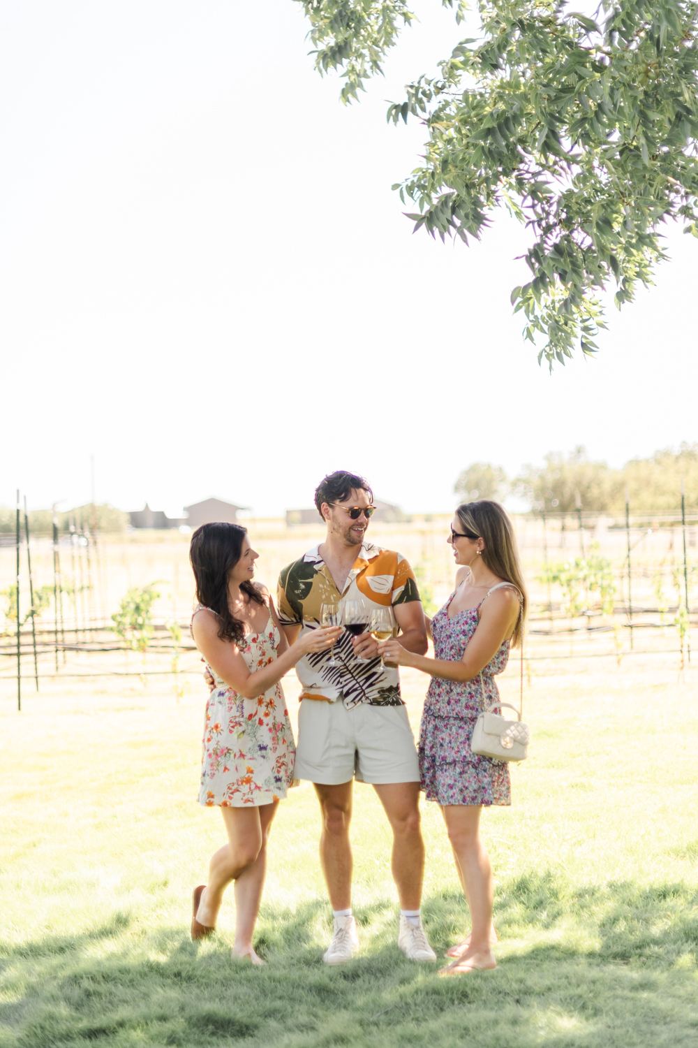 Friends toasting with red and white wine in a Hill Country vineyard