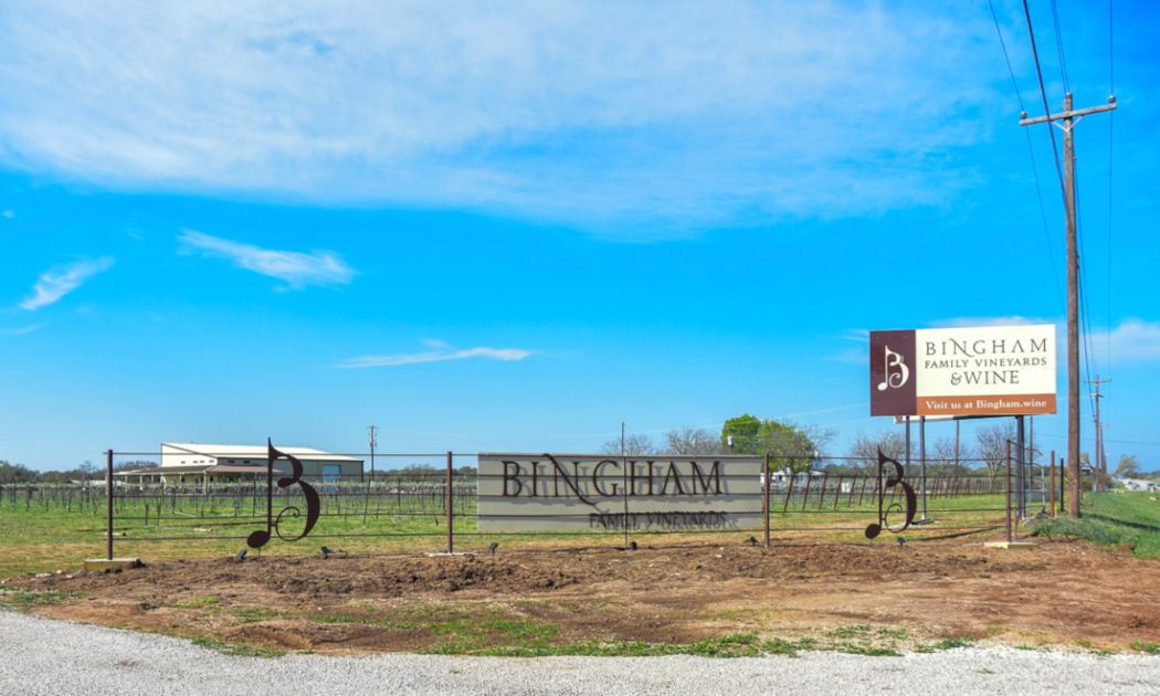 Bingham Family Vineyards, Hye