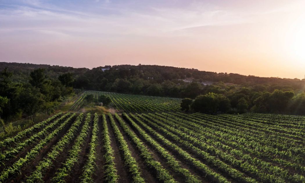 Carter Creek Winery Resort & Spa, Johnson City