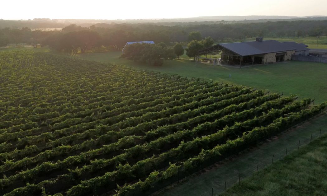 Featherstone Ranch Vineyards