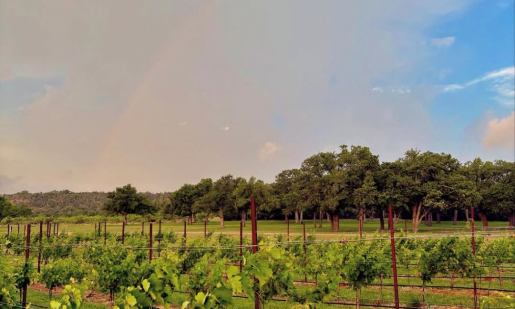 Kerrville Hills Winery, Comfort & Kerrville