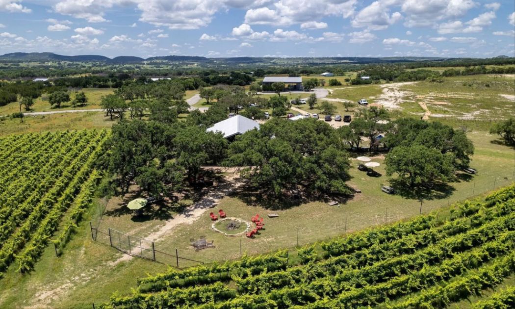 Lewis Wines, Johnson City
