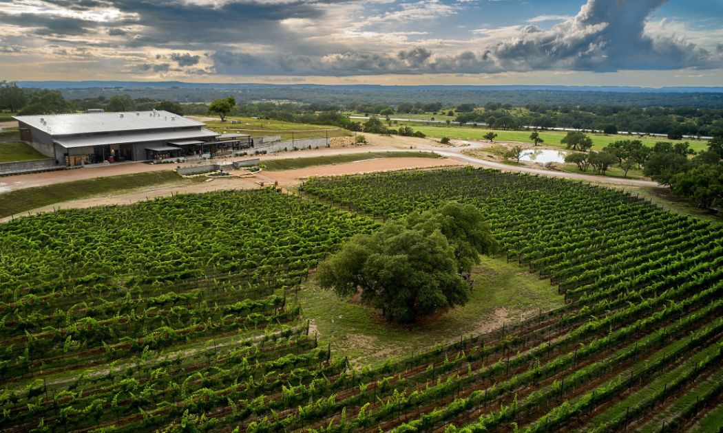 Siboney Cellars, Johnson City